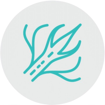 Regulation of Nerve Activity